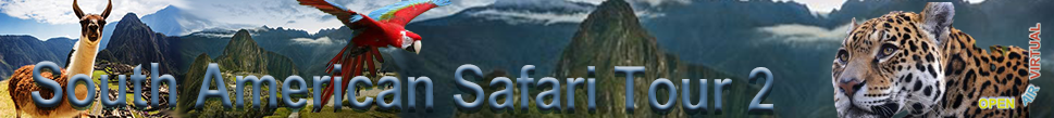 South American Safari Part II
